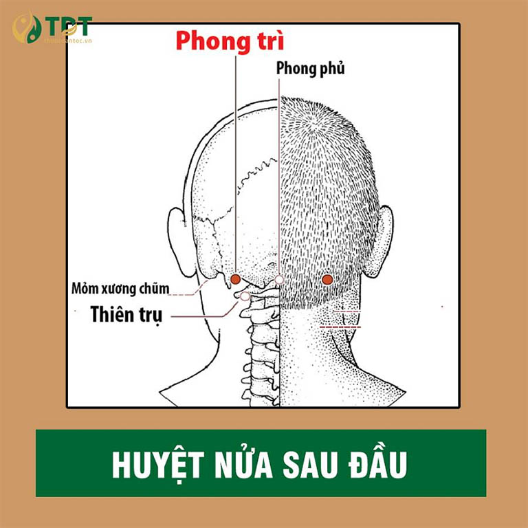 phuong-phap-massage-bam-huyet-ha-huyet-ap-4